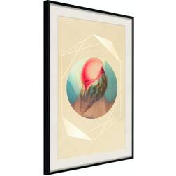 Arkiio Affisch Seashell [Poster] 30x45 Poster